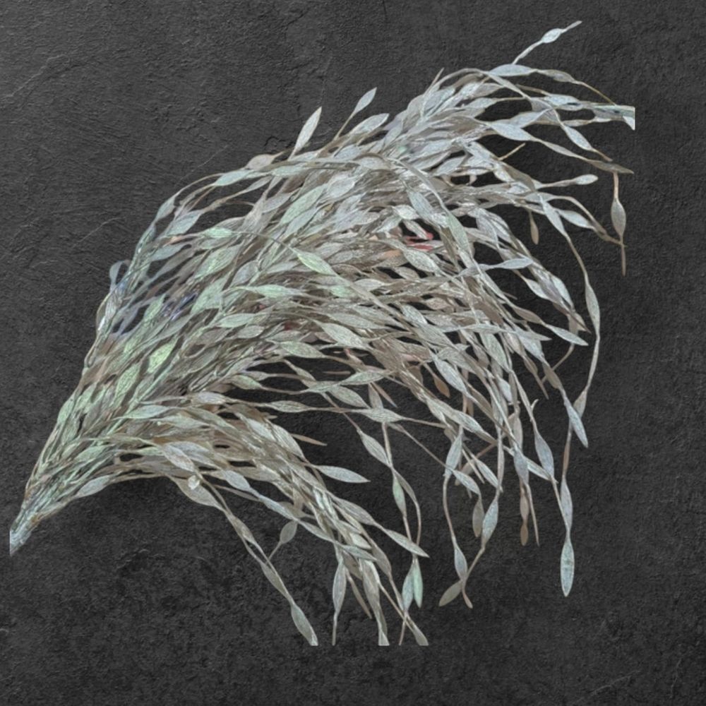 Antiqued Silver Artificial Grasses Set Of Two Branches